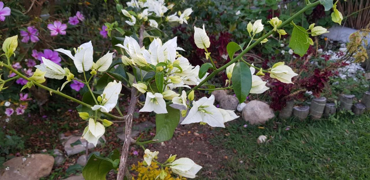 فيلا Vale Das Maritacas Teresópolis المظهر الخارجي الصورة