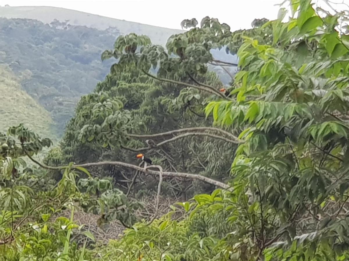 فيلا Vale Das Maritacas Teresópolis المظهر الخارجي الصورة