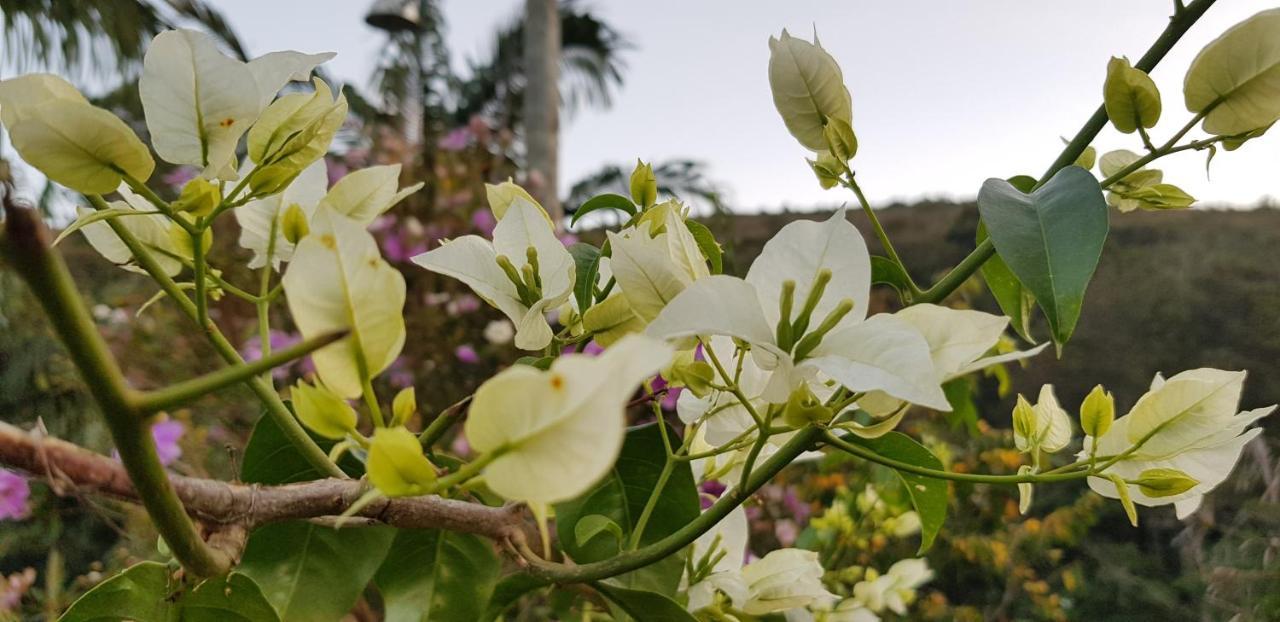 فيلا Vale Das Maritacas Teresópolis المظهر الخارجي الصورة